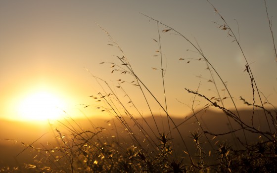 Nature___Seasons___Spring_Sunrise_spring_sun_069290_