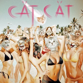 Cat-cat-cedric-couvez-deep-house-nudisco