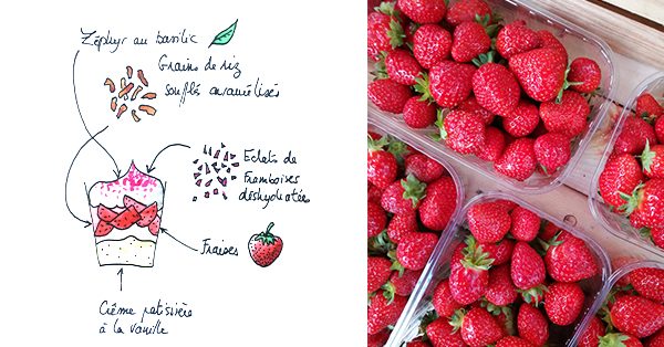 dessin-et-fraises